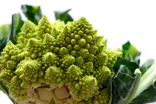 Bellavita Expo - the best in Italian food and drink comes to London