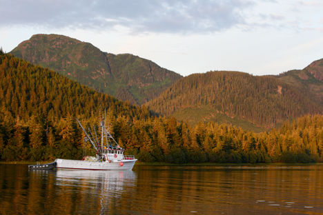 A wild fishing boat for LEAP Seafood