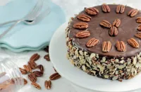 Dairy- and gluten-free chocolate and pecan brownie cake