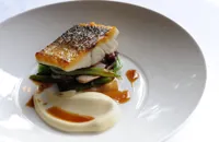 Escalope of wild sea bass with sautéed smoked bacon, red chicory, runner beans and red wine sauce 