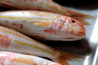 How to cook red mullet sous vide