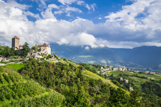 The wines of Trentino