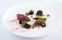 Roast wood pigeon with black pudding and baby beets