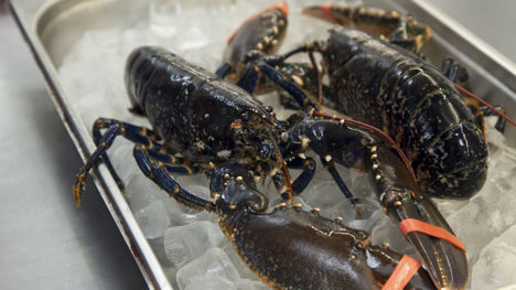 How to prepare lobster claws