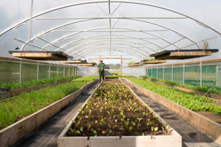 On the farm with Simon Rogan