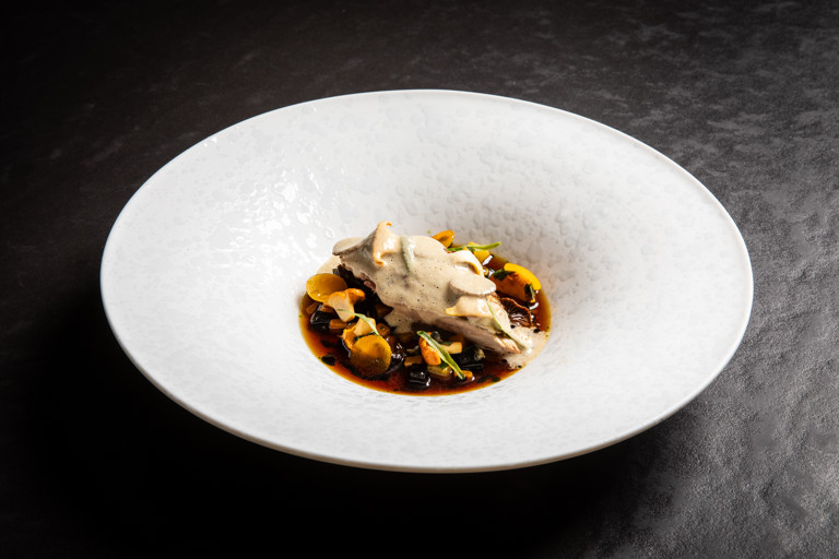 Partridge with burnt apple purée, mushrooms, squash and an Albufera cream sauce