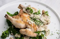 Poussin with mustard sauce and mushrooms