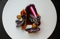 Powdered duck with braised cabbage and pickled cherries