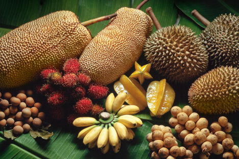 From langsat to durian: a complete guide to Malaysian Fruits