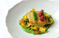 Brill with Mussels and Jersey Royals Recipe - Great British Chefs