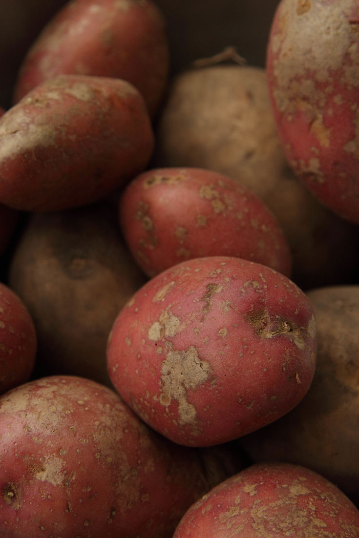 Potato Recipes - Great British Chefs