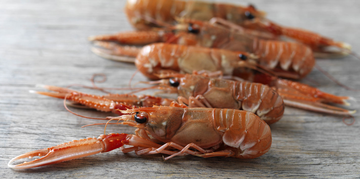 Langoustine