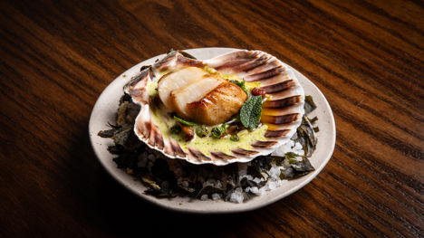 Isle of Mull scallops with bacon, peas and fermented lettuce