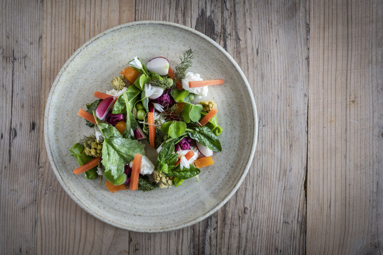 Farm salad
