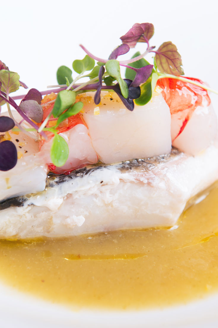 Sea Bass Recipe with Fennel and Apple Sauce - Great Italian Chefs