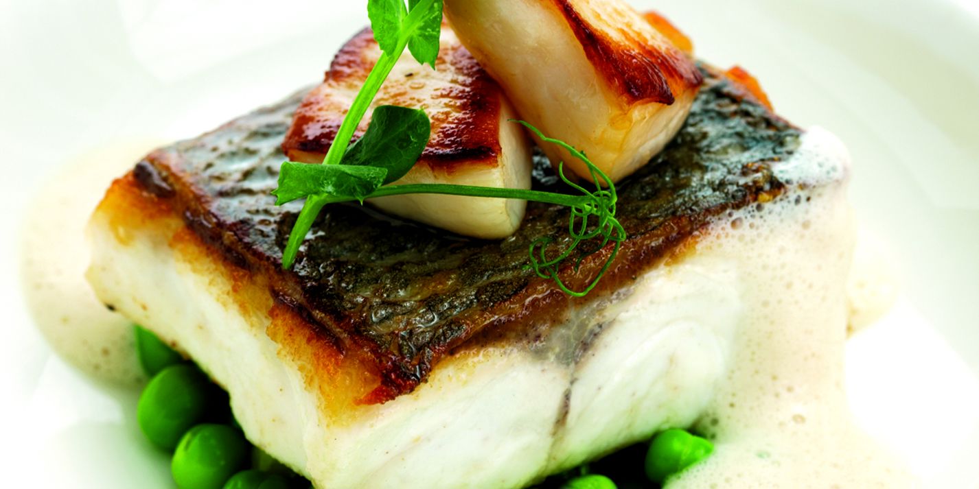 Sea Bass Fillet recipe with Jersey Scallops - Great British Chefs