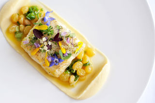 Halibut fillet glazed with lardo, parsnip purée and a verjuice and spring onion sauce