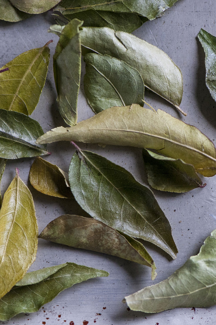 Curry Leaf Recipes - Great British Chefs