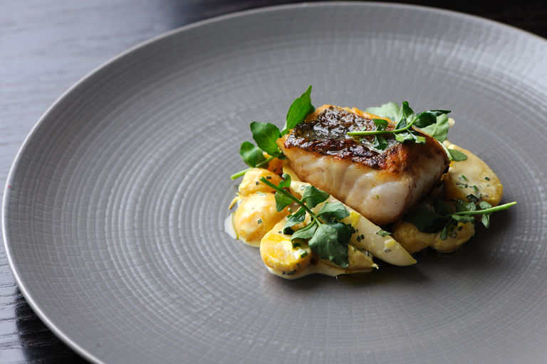 Hake fillet with golden beet and radish salad