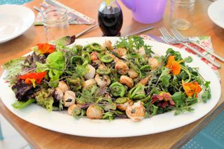 Savouring seafood in Halifax, Nova Scotia