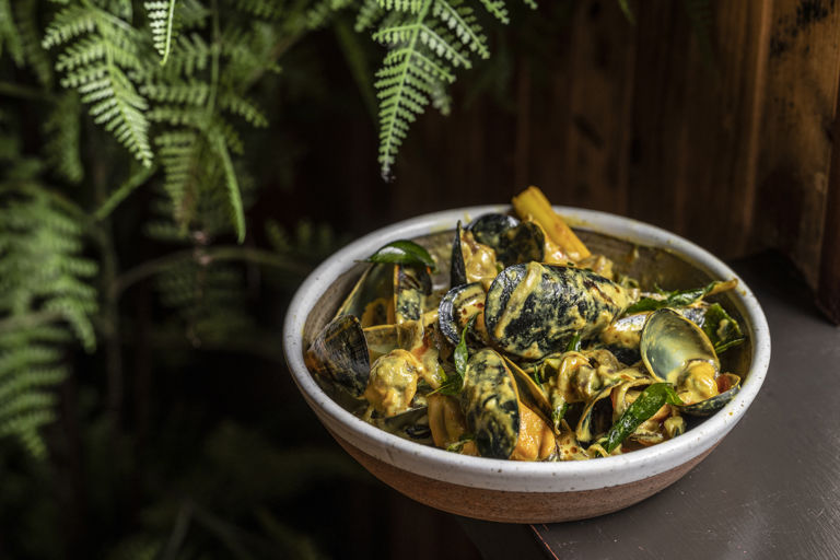 Mussel hodi