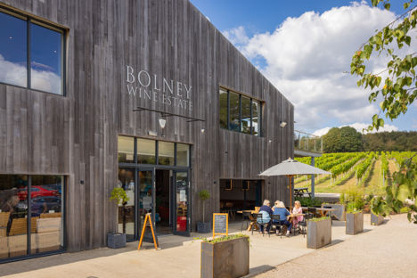 Bolney Wine Estate: pioneers of English wine