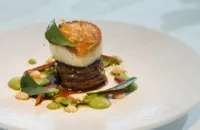 Scallop with Meantime Pale Ale braised breast of lamb