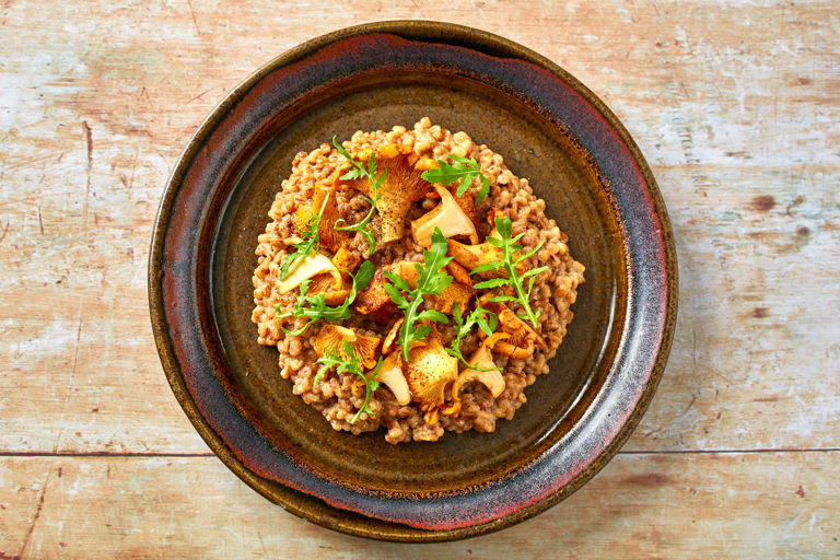 Fermented barley and girolle risotto