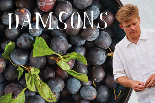 Sam Buckley: on damsons