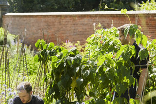Hampton Manor: a new era for culinary retreat