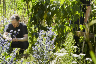 Hampton Manor: a new era for culinary retreat 