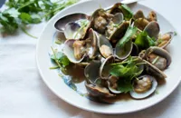 Steamed clams with miso and rice wine