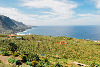 The food of Tenerife