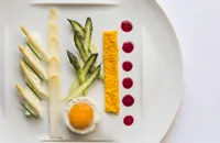 Asparagus, bio eggs with ricotta cheese