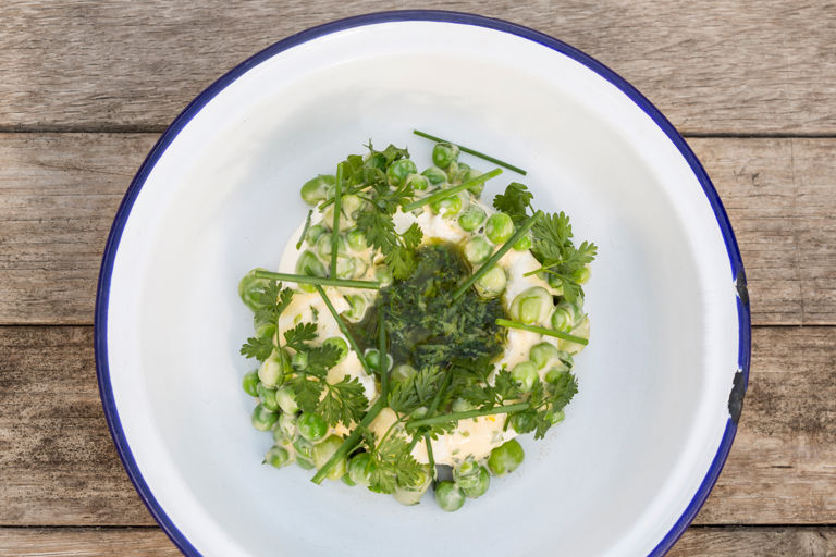 Ricotta with organic peas, broad beans and gremolata