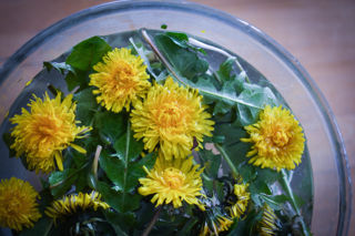 A-Z of lost ingredients