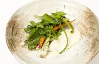 Summer vegetables with smoked cheese and herbs 