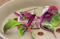 Bonito and radicchio with sweet and sour soy sauce