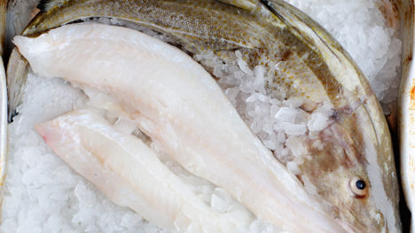 The Great British cod dilemma