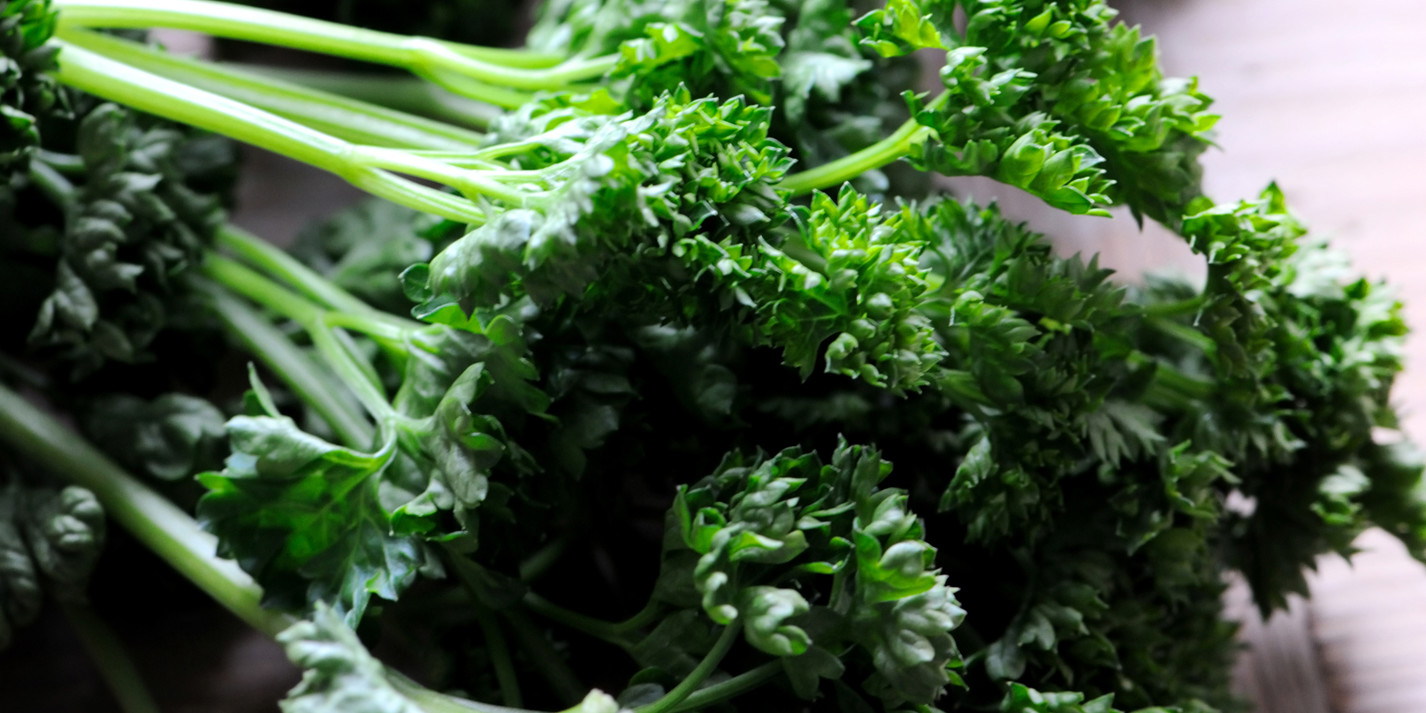Parsley Recipes Parsley Sauce, Parsley Purée Great British Chefs