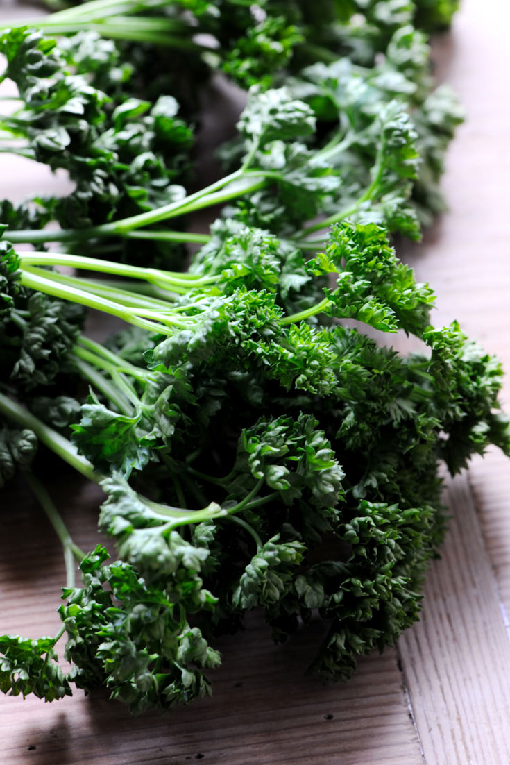 Parsley Recipes Parsley Sauce, Parsley Purée Great British Chefs