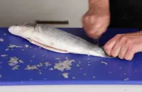 How to scale a fish