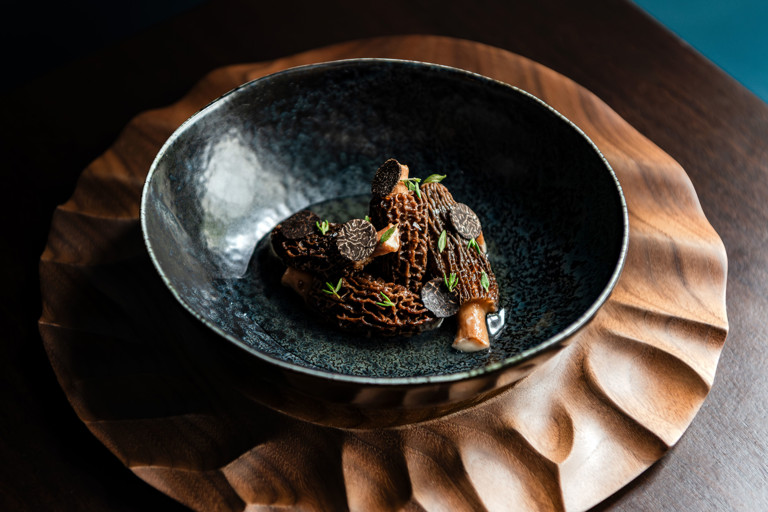 Morels, celeriac, truffle and hojicha