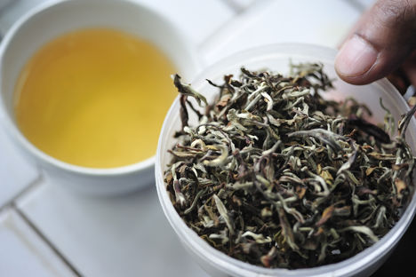 The quest to find the best Darjeeling tea in the world