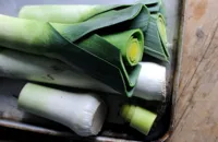 Super leek: new ways with Wales’ favourite vegetable