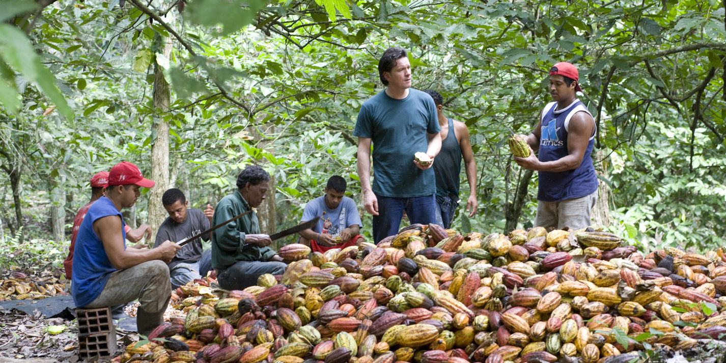 Willie's Cacao Adventures In Chocolate Great British Chefs